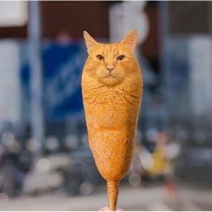 Meet your Posher, Emil